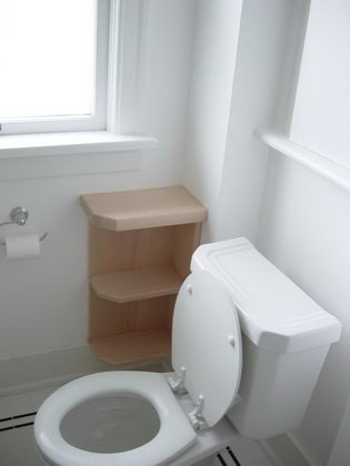 Shelf and Toilet